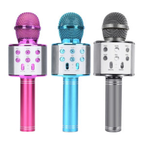MICROFONO KARAOKE WS-858